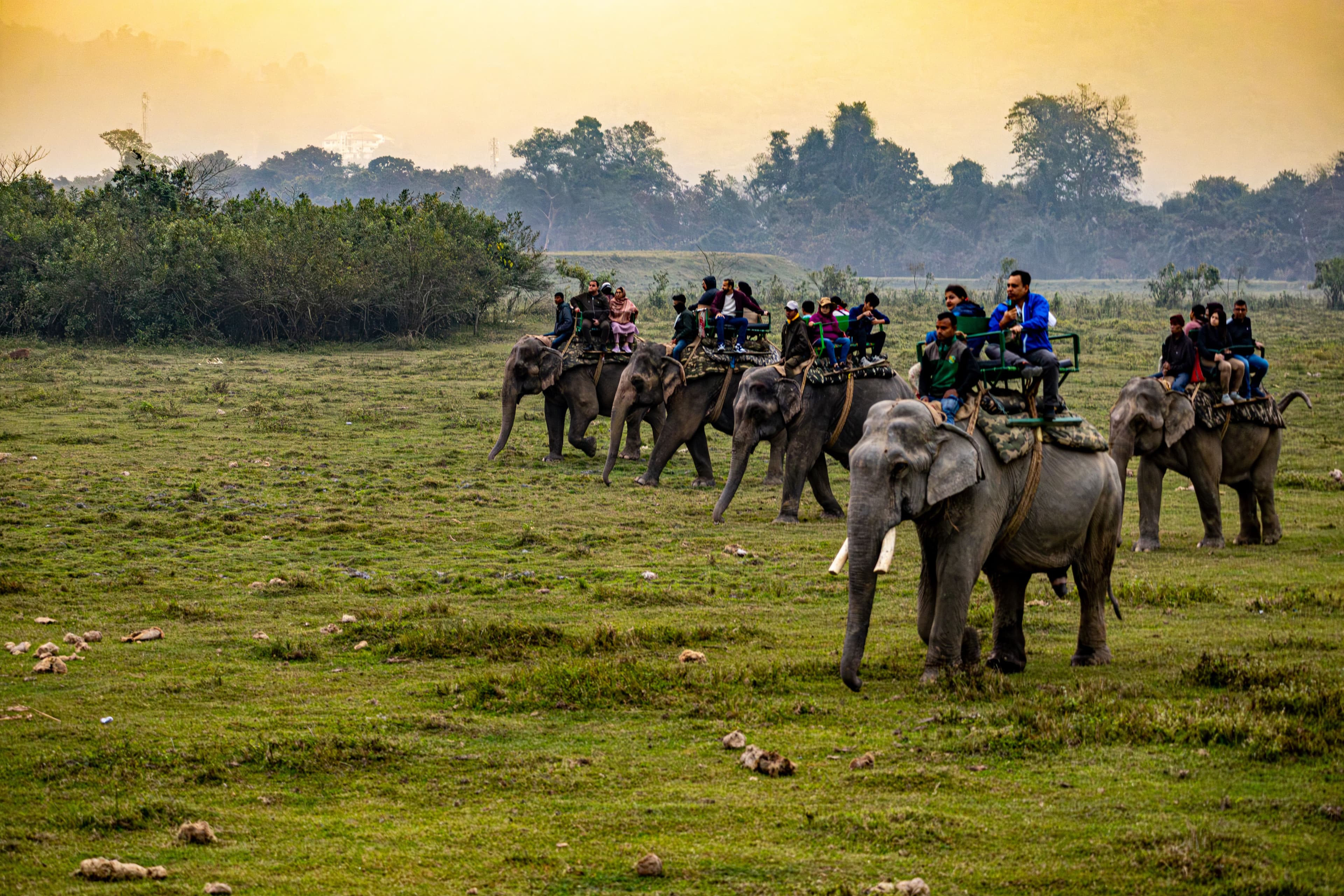 Elephant safari in Chitwan